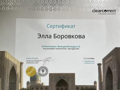 Боровкова Элла Викторовна